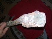IMG_20200222_200206.jpg