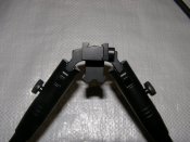 PC181365.JPG