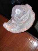 IMG_20200223_154600.jpg