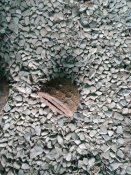 IMG_20200224_085325.jpg