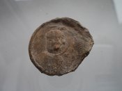 DSCN1341.JPG