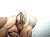 DSC01111.jpg