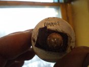 DSC01115.jpg