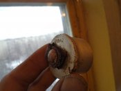 DSC01118.jpg