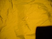 DSCN7664.JPG