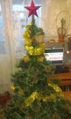 IMAG0783.jpg