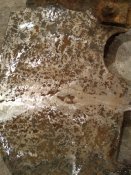 IMG_20200225_160805.jpg
