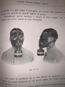 P43_1.jpg