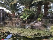 7F568AB9-117E-4178-9FF5-8A447C33CEA7.jpeg