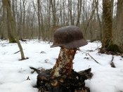IMG_20200222_143642.jpg