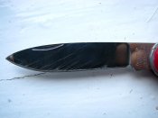 IMG_2149.jpg