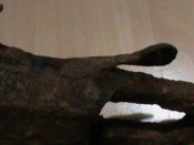 DSC01467.JPG