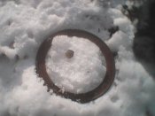 IMG_09022020_122103.jpg
