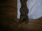 IMG_20200229_175638.jpg