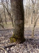 IMG_20200301_135535.jpg