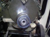 IMG0259A.jpg