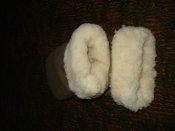 DSC05147.jpg