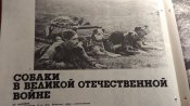 Собаки в ВОВ.