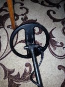 IMG_20200229_185337.jpg
