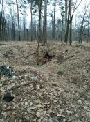 IMG_20200302_131153.jpg