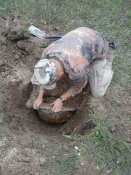 шарова1.jpg