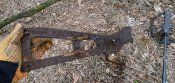 IMG_20200304_132059.jpg