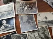 Гансы в Крыму. Всего 19 фото 1942-43 гг+бонус. Старт 999 грн