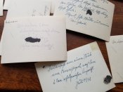 Гансы в Крыму. Всего 19 фото 1942-43 гг+бонус. Старт 999 грн