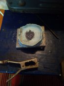 IMG_20200306_131511.jpg