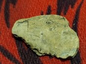 IMG_20200306_173545.jpg