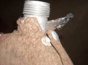 DSCN5831.JPG