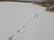 DSCN2271.jpg