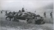 6170479.jpg