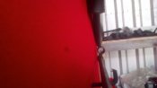 IMG_20200229_110739.jpg