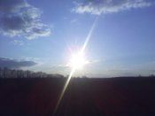 IMG_20200229_165114.jpg