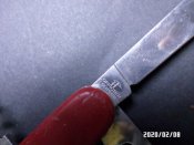 SAM_2117.JPG