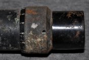 DSC_5547.jpg