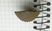 CAM01596.jpg