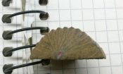 CAM01599.jpg