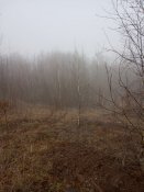 IMG_20200310_101428.jpg