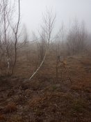 IMG_20200310_101437.jpg