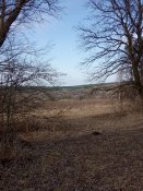 IMG_20200310_144358.jpg