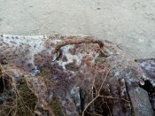 IMG_20200310_154210.jpg