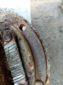 IMG_20200310_160959.jpg