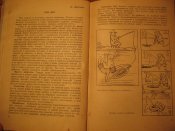 Рыболов-спортсмен №24 1966г