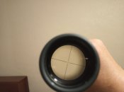 IMG_20200311_203727.jpg