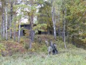 Линия Сталина (13).jpg