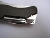 DSC07230.jpg