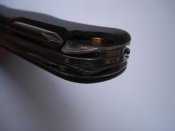DSC07231.jpg