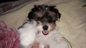 20200311_153105.jpg